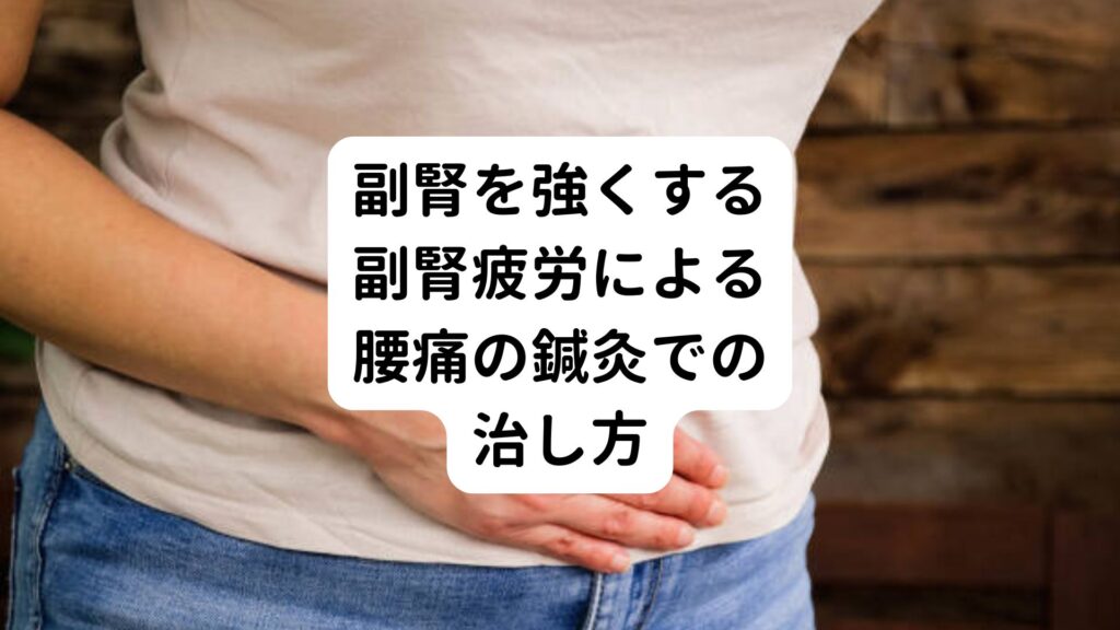 【副腎を強くする】副腎疲労による腰痛の鍼灸での治し方