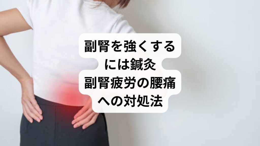 副腎を強くするには鍼灸｜副腎疲労の腰痛への対処法