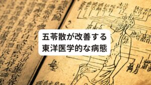 五苓散が改善する東洋医学的な病態五苓散が東洋医学的にどのような病態を改善する漢方薬なのかを知るために、五苓散に配合されている生薬をご紹介します。

【ツムラ五苓散医療用(一包)】
①猪苓　（甘・平）3.0g
②沢瀉　（甘・寒）4.0g
③茯苓　（甘・平）3.0g
④桂皮　（辛・温）1.5g
⑤白朮　（苦・温）3.0g

五苓散は、温める（温）生薬が２つ、温めも冷やしもしない生薬（平）が２つ、冷やす生薬が１つで構成されています。
そのため体の部分的に冷えがあったり、熱があったりする部分を解消させる効果効能があることが推察できます。