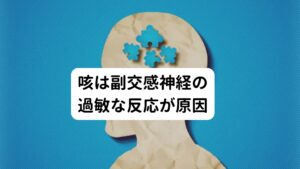 咳は副交感神経の過敏な反応が原因自律神経には交感神経(身体を活発に動かす神経)と副交感神経(身体を休ませる神経)があります。
この二つの神経には日内リズムがあり、一日の中で環境に応じてシーソーの様に上手にシフトチェンジしてバランスをとっています。

主に日中は交感神経が優位に働いており、夕方から夜にかけてだんだんと副交感神経が交感神経に代わって優位に働き始めます。
そして夜、寝る前には副交感神経が最も優位に働く時間になります。

副交感神経の特徴として優位に働くと必要な酸素量が活動中より少なくなります。
この副交感神経が過剰に働いてしまうと気道が縮んで空気の通る道が狭くなる反応が起こります。

この副交感神経の過剰反応は鼻水、痰、アレルギー疾患などの症状をお持ちの方はアレルギー物質が気管支等を刺激しやすくなります。
健康であれば反応するはずのない刺激であっても過敏に反応してしまうため、夜間に寝苦しい咳症状が出てしまいます。

この症状は気道過敏症という病名でも呼ばれる場合があります。

本来、咳は異物やウィルスや細菌等、喉や気管についた悪いものを外に出そうとして起こる身体の生理的な防衛反応です。
そのため止めるのは良くないという考えもあります。

しかし、このような夜間に起こる咳症状は睡眠に関わるため止めなくてはゆっくり休むことも寝ることも出来ません。
そのため悪化させずに早期に改善することが重要になります。

※気道過敏症に関する詳しい解説は下記のリンクボタンからご覧ください