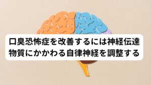 口臭恐怖症を改善するには神経伝達物質にかかわる自律神経を調整する口臭恐怖症を改善するためには恐怖感を抑えるために必要な脳内の神経伝達物質（ドーパミン、セロトニン、ノルアドレナリンなど）の分泌を促すのが必要です。
そのためには精神的なストレスによって疲弊した分泌を調整している自律神経や中枢神経の働きを正常に戻すことが重要です。