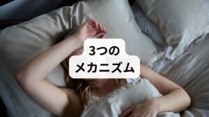 ① 消化・発酵のタイムラグ
食べたものが大腸に届き、腸内細菌のエサとなってガスを発生させるまでには数時間のタイムラグがあります。昼食に「高FODMAP（フォドマップ）」と呼ばれる発酵性の高い食品（小麦、玉ねぎ、豆類など）を摂取すると、ちょうど夕方から夜にかけてガス産生がピークを迎えます。

② デスクワークと姿勢の影響
長時間同じ姿勢で座り続けると、物理的に腸が圧迫されます。さらに、猫背の状態は呼吸を浅くし、横隔膜の動きを制限するため、腸の蠕動（ぜんどう）運動が低下してガスが停滞しやすくなります。

③ 心理的ストレスと「呑気症」
仕事での緊張や不安を感じると、人は無意識に奥歯を噛み締め、唾液と一緒に空気を飲み込んでしまいます。これが「呑気症（空気嚥下症）」です。朝から積み重なった「空気の貯金」が、夕方に腹部膨満感として顕在化するのです。