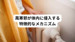 風寒邪が体内に侵入する特徴的なメカニズム風寒邪は、体内に侵入するメカニズムが特徴的です。
首の周囲には、「風門(ふうもん)」、「風府(ふうふ)」という「風」の文字がつくツボ(経穴)があります。
風寒邪は首の後ろ側、上半身後面から入ってきやすい性質があるため、その予防のためにこれらのツボは「風」という文字を使っているとされています。
そのため風寒邪は首の後面から身体に入り込みやすく、頭部に気血が停滞し頭痛を発症させる性質があります。
昔から風邪を引いた時は首の後ろにタオルを入れて冷やさないようにしたり、首にネギを巻いたりするなどの方法がありましたが、これは上半身からの発汗を促して、体内に入ってきた冷えを外に出す方法と説明できますが、実は東洋医学的にも理にかなった方法です。