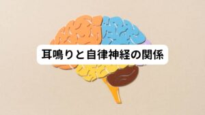 耳鳴りと自律神経の関係このような耳鳴りは、耳の疾患や脳血管疾患が原因となって起こることもありますが、原因が特定できない場合も多々あります。
その場合は根本的な原因には疲労やストレスが関与していると考えられます。


自律神経は、起きているときや寝ているとき、温度変化などに対応してうまくバランスをとっています。
しかし、疲労やストレスは自律神経に影響を及ぼし、いわゆる自律神経失調症になる可能性を高めてしまいます。

自律神経のバランスが崩れると、心身の不調が現れます。
体が緊張状態になりやすく、交感神経が優位となり血管が収縮しやすくなります。

この緊張による血管の収縮が長く続くと、血液が組織に十分に行き渡らなくなります。
この反応が耳周辺の血行が悪くなると、耳鳴りが起こりやすいといわれています。

身心の疲労やストレスが長期間に渡ると、身体の緊張状態が長く続いてしまい自律神経のバランスが崩れてきます。
この自律神経の乱れによって、さまざまな症状が現れますが、その一つとして耳鳴り症状があります。