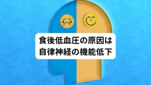 食後低血圧の原因は自律神経の機能低下この食後低血圧が起こる原因は自律神経の反応が正常に働かないことと考えられます。
しかし、このような自律神経の乱れが起こる問題は複合的である場合が多く、改善させるためにはそれぞれの問題について一つずつ対策をとることが重要です。

また、一気に胃腸へ血液が集中しないような食事の摂り方を工夫することでも食後低血圧を避けることが出来ます。
まずは生活習慣の一環としてこういったできることから取り組まれることが大切になります。