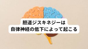 胆道ジスキネジーは自律神経の低下によって起こる胆道ジスキネジーの症状は胆石症の症状によく似ています。
しかし、胆道ジスキネジーでは、胆道系に胆石や炎症、腫瘍がなく、肝臓にも異常は認められません。

そのため精密検査を受けて、胆のうや肝臓に異常がないのに食後に右上腹部に痛みが生じる場合は、胆道ジスキネジーの可能性があります。
胆汁の排出機能をコントロールしている自律神経の働きが低下すると、胆汁の排出がうまくいかなくなると考えられています。