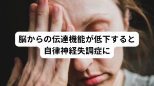 脳からの伝達機能が低下すると自律神経失調症に現代社会では、精神的な不調によって体調を崩してしまう方が増加傾向にあります。
パソコンやスマホの普及に伴い日常におけるコミュニティも複雑化し、知らず知らずのうちに心理的なストレスを抱える事が多くなっています。
またそういった忙しい中で自分の心身については疎かになってしまい生活習慣も乱れがちになります。

このような日々の乱れた生活習慣が続いてしまうと自律神経やホルモンのバランスが崩れてしまう要因となります。
こういった自律神経やホルモンバランスが崩れた状態が毎日のように続くと、脳からの伝達機能が不具合を引き起こし自律神経失調症を発生させています。