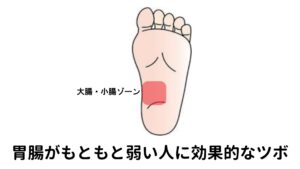 胃腸がもともと弱く下痢気味の症状に効果的なツボ【大腸、小腸ゾーン】
場所：土踏まず全体
効果：胃腸の働きを正常にして下痢を改善します。
　　　普段から胃腸が弱くて下痢になりやすい人は、ここのツボを指圧しましょう。