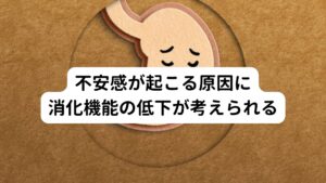 心臓は血液を全身に送る働きを担っていますが、その心臓の原動力も血液で送られる栄養になります。
そのため日々の生活で消耗する栄養が補充・補給できないと不調が起こります。

とくに病気もしていないのに急に不安感に襲われるのはなぜだろうと疑問をもたれる方もおられます。
しかし、不安感や動悸に関していえば突然起きているわけではなく、かならず前兆としての症状が起きています。

この前兆は食欲不振、下痢や便秘といった消化器系の働きの不調から始まることが多いとされています。