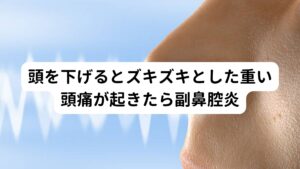 頭を下げるとズキズキとした重い頭痛が起きたら副鼻腔炎一般的によく知られている頭痛に筋緊張性頭痛と神経性である偏頭痛の二種類がありますが、最近増えている頭痛にどちらでもない「副鼻腔炎による頭痛」があります。
この副鼻腔炎による頭痛が起こる特徴に「頭を下げるとズキズキとした重い頭痛が起きる」という症状があります。

これは副鼻腔に溜まった膿によって副鼻腔に内圧が高まり周囲の神経を圧迫することで起こる症状です。


とくに頭を下げたり下を向くと正面を向いているときよりも内圧が高まることで頭痛が起こるといわれています。※1