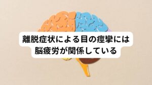 離脱症状による目の痙攣には脳疲労が関係している最近「脳疲労」という言葉が一般的に認知され始めてきました。「脳疲労」とは「脳が疲れている状態」そのものを指します。

筋肉は使い過ぎると筋肉が損傷し炎症が起こり筋肉痛になります。
実は脳も同じように使いすぎると脳内で炎症を起こし、正常に機能しなくなると考えられています。

この状態を「脳疲労」と呼びます。
薬の離脱症状は脳の機能が低下させてしまうため、普段の働きだけでもキャパオーバーになってしまい、うまく情報共有が取れなくなり、機能不全が起こります。

この状態が続くと目の痙攣としての症状が起こるとされています。※1