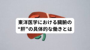 東洋医学における臓腑の“肝”の具体的な働きとは肝は「気の巡りをよくし、精神・情緒を安定し水分と血液の代謝を正常に保つ」という働きがあります。
これは現代医学でいう「自律神経の調整」と「血液の貯蔵と循環」になります。

眼精疲労からくる頭痛、肩こりが現れる原因にはこの自律神経と血液の調整を担っている肝が疲労を起こしていることがいえます。
眼精疲労に関していえば血液不足により栄養が眼に行き届かないのが原因です。