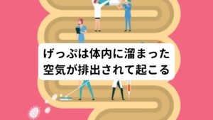 げっぷは体内に溜まった空気が排出されて起こるげっぷが起こるメカニズムは胃や食道から口へ向けて空気が逆流する現象のことを指します。
人は健康体であっても食事や会話、呼吸をする時にも無意識的に若干の空気を飲み込んでいます。

その飲み込んだ空気は胃や腸まで運ばれるのですが、食道が引き伸ばされる蠕動運動によって実は飲み込んだ空気が逆流しげっぷとなって放出されます。
しかし、飲み込んだ空気が胃や腸から逆流せずにそのまま小腸を通って大腸まで運ばれると、おならとなって排出されます。