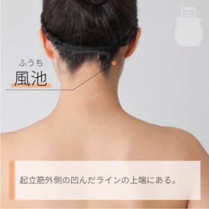 ・風池(ふうち)
場所: 少し上を向いた時、背骨から上がって指が止まるくぼみ