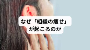 耳管開放症は、通常は閉じている耳と鼻をつなぐ「耳管」が開き放しになる疾患です。代表的な症状には、自声強聴や呼吸音が耳に届く不快感、耳閉感などがあります。

東洋医学から見た「耳管開放症」の原因
西洋医学的な処置に加え、根本原因へアプローチする漢方も有効な選択肢の一つです。東洋医学では、以下の要因が耳管周辺の組織を痩せさせ、開放を招くと考えます。

・急激な体重減少： ダイエットや病後による脂肪・組織の減少
・血行不良： ストレスや冷えによる血流の滞り
・気虚（ききょ）： 胃腸の弱りによるエネルギー不足

自身の体質に合った漢方薬を服用することで、組織の回復や血流を促し、症状の改善を目指すことが可能です。