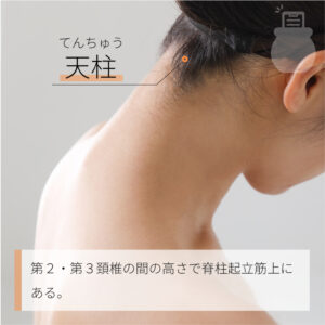 ・天柱(てんちゅう)
場所:髪の毛の生え際付近、首の太い骨の外側