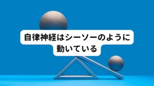 自律神経はシーソーのように動いている自律神経には交感神経(身体を活発にさせる神経)と副交感神経(身体を休ませる神経)があります。
この二つの神経は日内リズムがあり、一日の中でシーソーの様に上手にシフトチェンジしています。

日中は交感神経が優位に働いて活動量を高めますが、夕方から夜にかけてだんだんと副交感神経が優位に働き始めます。
夜の就寝前には副交感神経が優位になって入眠の働きを助けます。