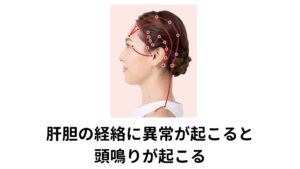 実はこの胆に関わる経絡（気・血・津液の通り道、エネルギーの流れ）が側頭部～耳周りに張り巡らされています。
そのため肝の不調が起こると表裏一体である胆の経絡に影響が起こり、結果として耳や側頭部に症状として現れることがあります。

「肝」は伸びやかな状態を好む性質があるためストレスや情緒変動の影響を受けやすく、過度な心身のストレスで傷ついてしまいます。
それにより肝の働きが低下して気の巡りがたちまち滞ってしまいます。

そこに熱が溜まってしまい、その熱が上へと逆上して頭部に不調を引き起こします。
この肝と胆の不調によって起こる経絡の病に頭鳴りがあります。