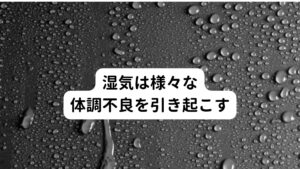 湿度の高い環境に身を置くことは、体調不良を起こす確率を高めることになります。
東洋医学では、身体に悪影響を及ぼす湿気を「湿邪(しつじゃ)」と呼び、身体の水分代謝を低下させる悪い環境として指しています。

この湿気による体調不良は、体内の水が滞ることで引き起こされるとされており、血液循環のうっ滞にもつながる状態になります。
特に、強い湿気は胃腸の消化機能に影響を受けやすいと東洋医学では考えられているため、むくみや肩こり、食欲不信の症状が出てやすいとされています。

そのため梅雨や夏場に胃もたれや関節痛の症状が悪化しやすい湿気で水分代謝が低下している状態と推測できます。。