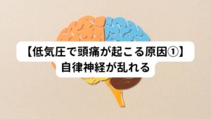 気圧の変化に身体の機能が追いつかないと、自律神経が乱れてしまいます。
この気圧の変化で交感神経が優位になると頭の血管が収縮し「緊張型頭痛」を引き起こしやすくなります。

また偏頭痛も自律神経との関係が深いです。
日頃からストレスを感じていたり、睡眠不足の方は自律神経が乱れやすく気象病が起きやすくなるため気をつけましょう。