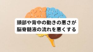 自律神経失調症の方の多くは姿勢が悪く、頭が前方へ突出して傾いている状態です。
また骨盤にゆがみがでることで上半身は不安定が助長してしまい、首の筋肉の緊張によって脊髄や脳にもストレスがかかっていると考えます。

また、筋膜や頭皮などもそれが原因で硬くなり頭の動きが悪くなり、脳脊髄液の循環が悪くなります。
これによって脳神経の栄養不足となり自律神経失調症の症状が誘発または悪化してしまうと考えます。