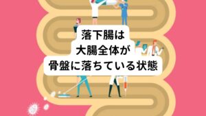 これに対して「落下腸」は大腸の形を支えるはずの上行結腸と下行結腸が背中に固定されていないため、起き上がると重力に逆らえずに大腸全体が骨盤の底へ落ちている状態をいいます。落下腸もねじれ腸と同様に腸の形態が崩れているために大腸の蠕動運動が低下しており便秘になりやすい傾向があります。