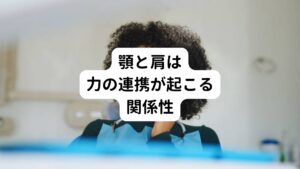 顎と肩のお互いの位置は他の部位と比べて近い箇所にあります。
そのため力の連動が生まれやすい構造といえます。

とくに顎からの力が肩へと伝播しやすいため他の部位よりも肩の筋肉に影響が表れやすいといえます。
普段から頭痛や首の痛みを感じている方がおられるのなら、もしかすると顎の周囲に余計な力が入っていて頭や首に悪影響を与えている可能性があります。