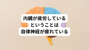 内臓の疲労には自律神経の働きの低下が関わっています。
この自律神経は、
・大勢の前で話すときに緊張して脈拍が速くなる
・食べ物を見るだけで「美味しそう」と唾液を出る
・暑いときに汗をかいて体温を下げる
こういった命を守るために自動で身体の器官を調整するのが自律神経です。