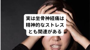 ストレスは自律神経の中でも交感神経を刺激し筋肉の緊張を引き起こします。
この筋緊張によって坐骨神経痛の症状を悪化させることがあります。

そのため前述した作業姿勢など物理的な刺激や圧迫がなくても、精神的なストレスによって交感神経が興奮すれば筋肉が自動的に過緊張し坐骨神経痛を起こってしまいます。
反対に日常のストレスを軽減すること(自分がリラックスできる趣味など)で筋肉の緊張を減らすことができます。
これにより坐骨神経痛の症状は軽減でき、改善と予防につながります。