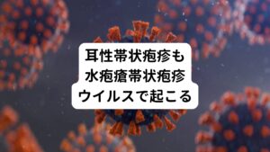 耳性帯状疱疹は顔面神経麻痺の症状以外にも難聴や耳の周りの水ぶくれ、めまいが起きる病気です。
耳性帯状疱疹は、一種のヘルペスウイルスである帯状疱疹ウイルスに感染することで起こります。
別名ラムゼイ・ハント症候群ともいわれています。

水痘帯状疱疹ウイルスに感染すると、水疱瘡(みずぼうそう)による発疹が最初に起きます。
この水疱瘡の発疹が消失しても体の中に何年間もウイルスが残る特徴があります。
その後何らかの条件で発疹が多くできる帯状疱疹が起きます。
これが帯状疱疹です。