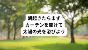 朝の太陽の光には体内時計を調節する効果があります。
しかし、このような疑問をもったことはないでしょうか。
「曇りの日だと効果はないの？」

じつは曇りの日でも効果はあります。

蛍光灯による室内の明るさは約500ルクス前後といわれています。
晴れの日の昼間の太陽の明るさは約10万ルクスありますが、曇りの日でも約2万～3万ルクスあります。
そのため曇っていても外の光を浴びることはじゅうぶんに効果があるといえます。