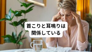 首のこりが耳鳴りを引き起こす原因は首の筋肉が硬くなることで脳に行く血液の量が減ってしまうということを解説しました。

これは身体の構造的に心臓から出た血液が頭部にも送られるときにその通過地点の首を通らなくてはなりません。
通り道である首が硬くなってしまうと、血液を送るための道が塞がれてしまうのです。

耳の周りにある筋肉や神経もこの心臓から送られる血液によって正常に機能しています。
そのため血液量が減ると、首のこりが起こるだけでなく耳の周りの筋肉や神経の機能も低下してしまいます。
この状態が続くと耳の機能にエラーが生じて耳鳴りが発生してしまいます。