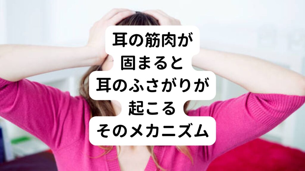 耳の筋肉が固まると耳のふさがりが起こるそのメカニズム