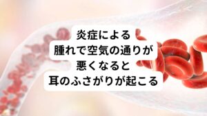 上記で解説したものの他にも原因があります。
それが鼻と耳をつなぐ耳管の炎症や鼻粘膜の炎症があります。


耳管や鼻粘膜に炎症が起こり腫れあがると空気の通りが悪くなり耳の内圧が高まって耳のふさがりが起こることがあります。