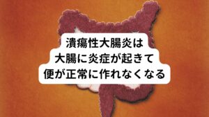 潰瘍性大腸炎の原因は、大腸と呼ばれる便を作る部分に、何らかの影響を受けて炎症が起こります。
この結果、大腸の粘膜が傷ついてしまい潰瘍やびらん(ただれ)などができます。
このため、便が大腸で正常に作る事が難しくなり、下痢、血液の混じった便や腹痛がおこります。