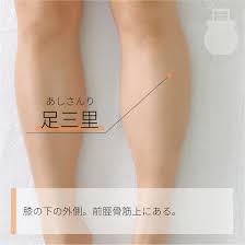 ②足三里
【主な効果】
腰痛、胃痛、胸やけ
【場所】
膝のお皿の外側の下に人差し指の端を当てて、指の幅４本分下がったところにある。
指で押すと「ズーン」と響く感覚があるところがポイント。

【解説】
足三里は昔から胃腸疾患によく効くことで知られています。
とくに胃痛や胸やけ、腹痛などの解消に用いられてきました。
ラット(実験用のネズミ)を使った実験で、足三里に鍼を打つと胃の働きが高まることを確認されています。
他にも下半身の痛みにも特効があり、腰痛などの関節痛に悩んでいるかたにもお勧めです。