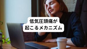 低気圧頭痛が起こるメカニズムは以下の通りです。


①低気圧が発達すると外界の気圧が下がるため、脳内の内圧が平衡を保つために脳の中の血管が拡張します。
②この拡張した血管から浸出液が浸みだします。（これがいわゆる脳のむくみといいます）
③この液体によって周囲の三叉神経を圧迫してしまい頭痛が起こります。
④浸透圧の関係で血管内から細胞へ水が漏れ出て脳をさらに圧迫してしまいます。
⑤それにより頭痛だけでなく頭重、めまいなども引き起こします。