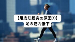 足の筋力や柔軟性が低下すると、歩行時などに足底筋膜が強く引っ張られてしまい炎症が起こりやすくなります。
そのため、筋力の低下がみられるようになる40歳から60歳がもっとも足底筋膜炎の発生が増加傾向です。