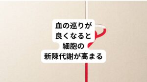 伸びによって血液が通うようになると細胞に酸素と栄養が行き渡り、細胞の新陳代謝が高まります。
伸びをしたときに何かムズムズする感じやポワポワする感覚が起きることはないでしょうか。
これは細胞に一気に血が行き渡るときに細胞が振動して代謝が高まるときに感じるものとされています。