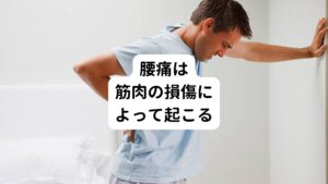 腰痛を治療せず放置したり、身体の筋バランスや血行循環が悪いままの状態にしていると、腰痛はどんどん悪化してしまいます。
マッサージや整体で施術を受けたり、医療機関でもらった湿布や痛み止めの薬を試しても腰痛の悩みが改善しないのは、こういった痛みの原因を根本的に解決できていないからです。

腰は機能的に日常生活のあらゆる動きで使われています。
重い物をたくさん持つことが多い方は、中腰で重量物を持ったりその状態から立ち上がる際に腰の筋肉をよく使います。

その動作を頻繁に繰り返すことで腰はオーバーユース（使い過ぎ）となってしまいます。
それにより腰部を構成している筋繊維が損傷します。

その損傷する筋肉の量が多くなるにつれて、炎症が強まり次第に痛みとなって現れます。
この痛みを引き起こしている原因には筋肉の緊張状態が挙げられます。