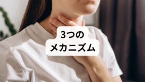 なぜ、目に見えないのに震えを感じるのでしょうか。そのメカニズムには「脳」と「神経」が深く関わっています。

1. 感覚神経の過敏化：
強い不安や慢性的なストレスにさらされると、脳がわずかな筋肉の電気信号を「大きな振動」として誤認してしまいます。

2. アドレナリンの過剰分泌：
緊張状態が続くとアドレナリンが出続け、筋肉がいつでも動けるよう「アイドリング状態」になります。これが微細な震えとなります。

3. 血流の乱れ：
自律神経が乱れて血管が収縮・拡張を繰り返すと、血管の拍動を振動として敏感に感じ取ってしまうことがあります。