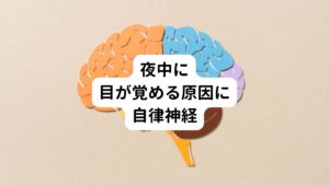 このような夜中に目が覚める体験をした朝はスッキリ起きれなくなります。
心身ともに「よく寝て心身ともにスッキリした」と言う感じがしません。
こういった睡眠の質が低下させてしまう原因には自律神経が乱れが関係しています。