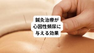 鍼灸治療が心因性頻尿に効果的である理由には「自律神経のバランスを整える」ことにあります。
鍼灸治療によって、体に影響を与えていたストレスや不安が解消されます。
それにより自律神経の機能が正常化されて膀胱の過剰な収縮が抑えることができます。
膀胱のキュッとする切迫感や下腹部の違和感が和らぐため、次第にトイレに対する精神的な不安も鎮まるようになります。