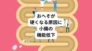 解剖学的にはおへその下には腹直筋と呼ばれる筋肉がついています。
この筋肉が凝り固まっているとおへその周りの筋肉が硬くなります。

腹直筋が硬くなる理由は様々ですが、原因の一つには小腸の働きが低下していることがあげられます。