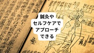 このように眼の調節には筋肉が関わっています。
そのため、鍼灸治療や様々なセルフケアやトレーニングによるアプローチができるということです。
それを行うことで根本的な原因となる筋肉の緊張を緩和させ老眼の改善と予防へとつなげられます。