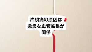 片頭痛は頭の血管が何らかの影響で急激に拡張した際に炎症物質が漏出し、それが三叉神経を刺激して炎症を起こすことで痛みが表れます。
血管が拡張する原因は諸説あるのですが、一つには日常生活でのストレスが関係しています。

人の体はストレスを感じるとセロトニンという物質を放出し体を守ります。
このセロトニンには血管を収縮させる作用があります。
そのため、毎日を忙しく過ごされてる方は、意識していなくても体はストレスを感じているのでセロトニンによって血管は収縮しやすい状態になっています。