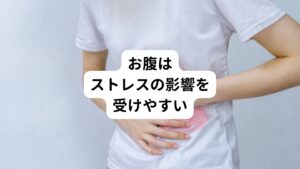 お腹には重要な臓器がたくさんありますが、精神的なストレスによって緊張すると影響を受けてお腹を下したりなどの不調が起こります。

この原因には緊張などのストレスが溜まると交感神経と副交感神経のバランスが崩れてしまい自律神経の働きが乱れることが関係しています。
とくに交感神経が興奮して優位になると下痢が起こりやすい傾向にあります。

このようにお腹はストレスの影響を受けやすいところといえます。