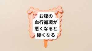 このように自律神経は腸の動きに深く関わりをもっています。
自律神経が乱れると腸の働きが弱って動きが悪くなっていきます。

この動きの悪さによって腹部全体の血流が悪化し血行不良になります。
実は「お腹が硬くなる」という症状は、この血行循環の低下が関係しています。