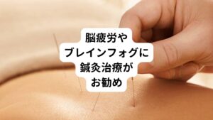 鍼灸治療は筋肉の過剰な緊張を和らげ、血流を促進し症状を改善する効果があります。
脳疲労やブレインフォグで起こる自律神経の乱れは首、肩、背中に強い凝りが現れます。
これらの筋肉のこりや血行不良を解消させ、末梢の血行循環の低下も改善していく事が脳疲労やブレインフォグには重要です。

鍼灸治療を行うとこれらの障害か改善され身体が軽くなり、気分も落ち着いて心も清々しくになります。
このような反応が起こる鍼灸治療はブレインフォグや脳疲労に有効と考えられます。