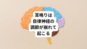 わたしたちの体は自律神経が正常に働くことによって、健康な状態を保っています。

自律神経は人間の意思によってコントロールはできず、環境の変化に応じて自動的に調節して働いています。

しかし、心身に強いストレスがかかると自律神経の調節が崩れてしまいます。
ストレスを感じると緊張状態となり、交感神経が活発に働きます。
ストレスがないときには体をリラックスさせる副交感神経が働きますが、長期間ストレスが続くと交感神経優位の状態が続き、副交感神経とのバランスが崩れてしまいます。

この自律神経の調節が崩れると、さまざまな不調が起こります。
その中の一つとして耳鳴りという症状が現れることがあります。